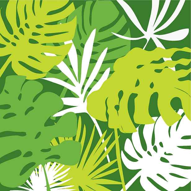 Zelené papírové ubrousky Tropical - 33*33 cm (20ks) J-Line by Jolipa