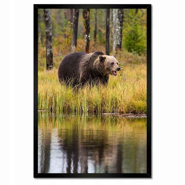 Plakáty v rámu 40x60 Zvířata Zvířátka