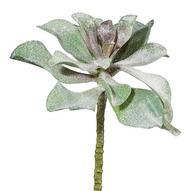 Sukulent výška 30 cm Gasper - zelený
