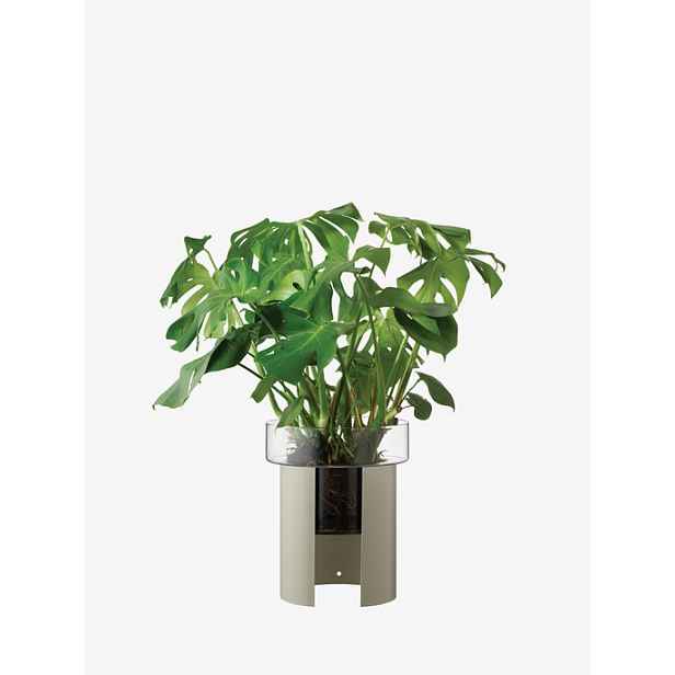Terrazza květináč, v. 45 cm, Ø37 cm, čirá/betonově šedá - LSA international