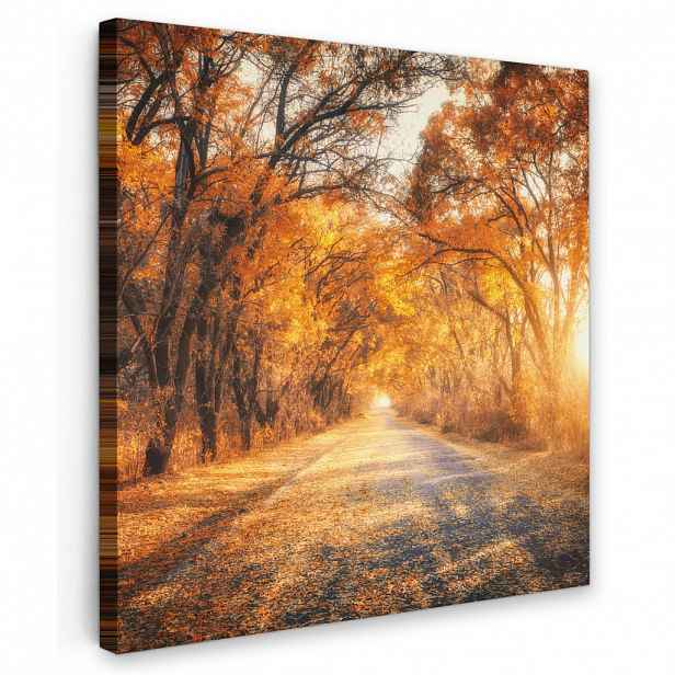 MuchoWow OBRAZ NA PLÁTNĚ Les - Podzim - Stromy - Lesní cesta - Příroda 20x20 cm
