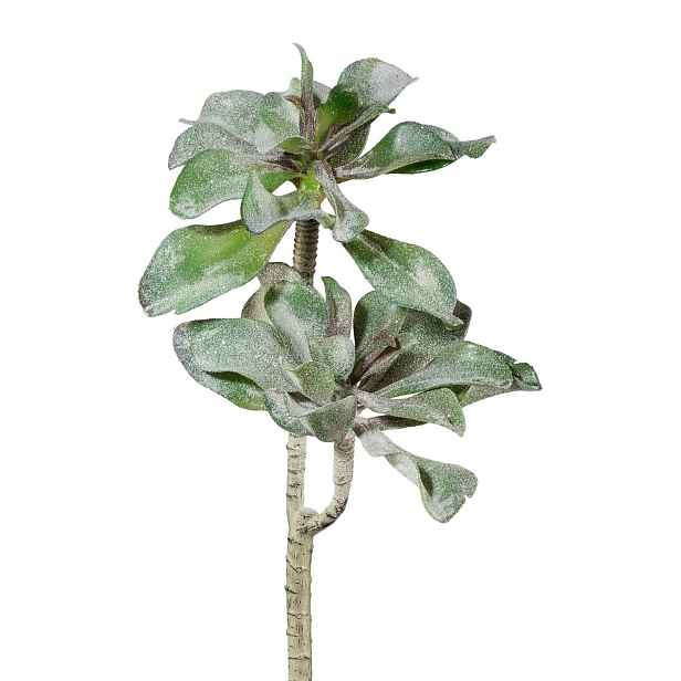 Sukulent výška 47 cm Gasper - zelený
