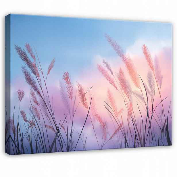 Wallarena PLÁTNO Pampasská tráva Přírodní růžová 60x40 cm