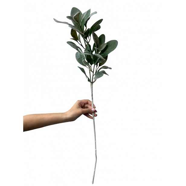 Butlers FLORISTA Jmelí 70 cm