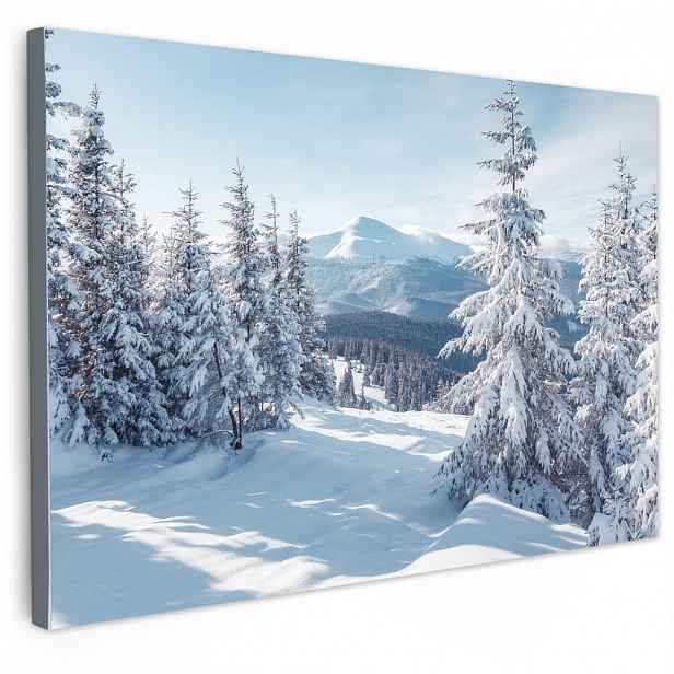 MuchoWow OBRAZ NA PLÁTNĚ Zimní krajina - Příroda - Hory - Stromy - Sníh 60x40 cm