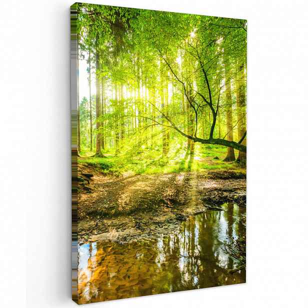 MuchoWow OBRAZ NA PLÁTNĚ Les - Krajina - Voda - Stromy - Slunce - Zeleň - Příroda 20x30 cm
