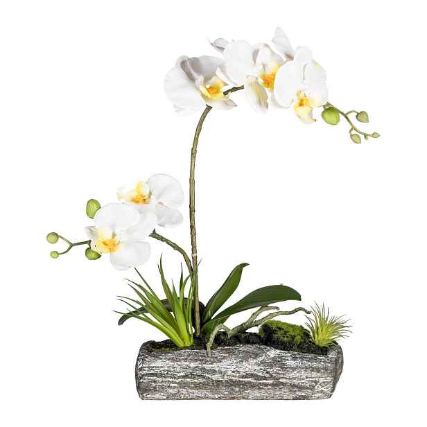 Umělá orchidej Phalaenopsis v misce výška 40 cm Gasper - bílá