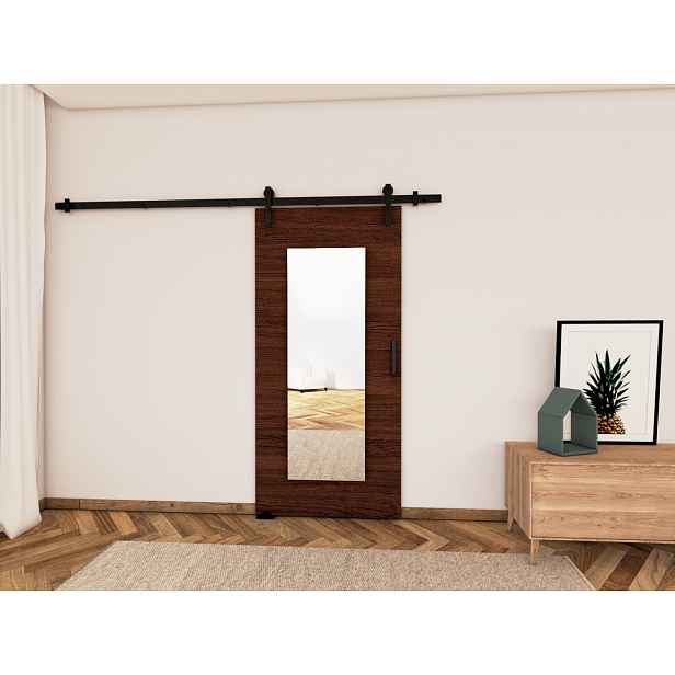Posuvné dveře se zrcadlem BUSHLAND 9 - 106 cm, wenge