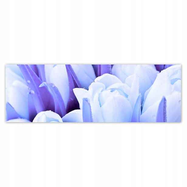 Plakáty 200x66 Modré tulipány