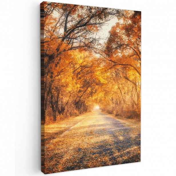 MuchoWow OBRAZ NA PLÁTNĚ Les - Podzim - Stromy - Lesní cesta - Příroda 20x30 cm