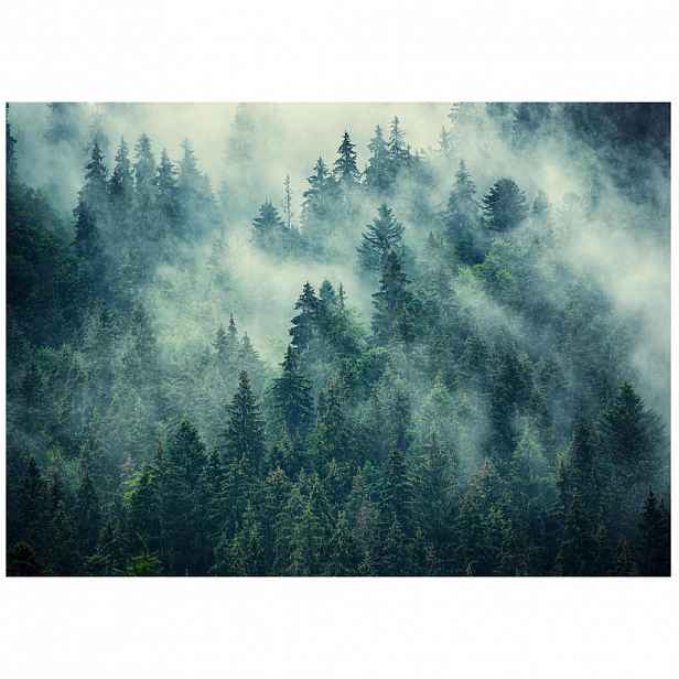 Wallarena FOTOTAPETA: Les v mlze vliesová tapeta 250x175