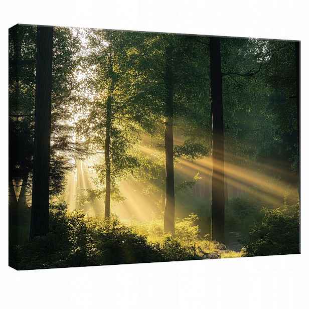 Wallarena OBRAZ na plátně Les Příroda Moderní obývací pokoj 60x40