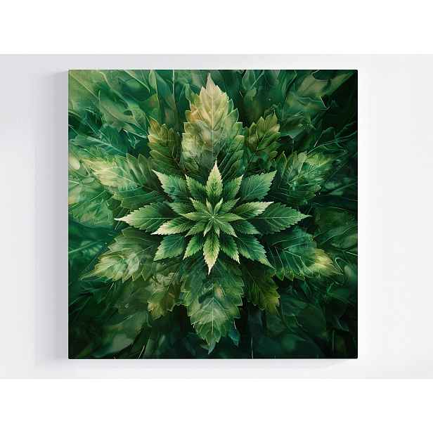 Obraz Na Plátně Canvas Mandala List Konopí Zelená Příroda Botanika 50x50