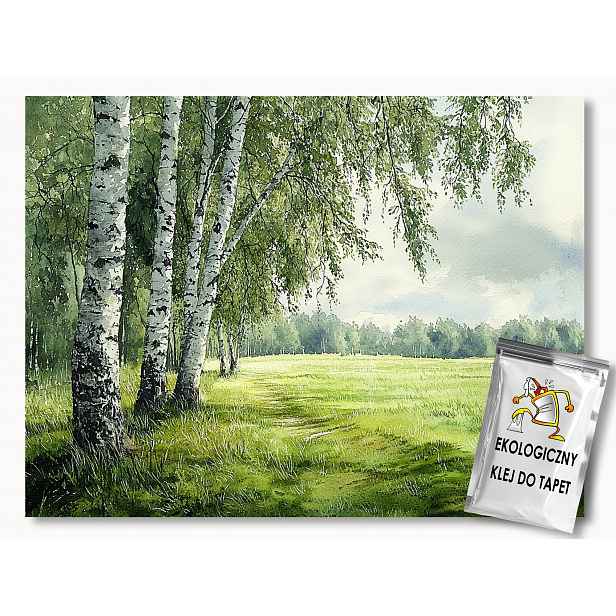 Fototapeta Flizelina Krajina Pohled Na Les Stromy Bříza Louka 150x105 110g