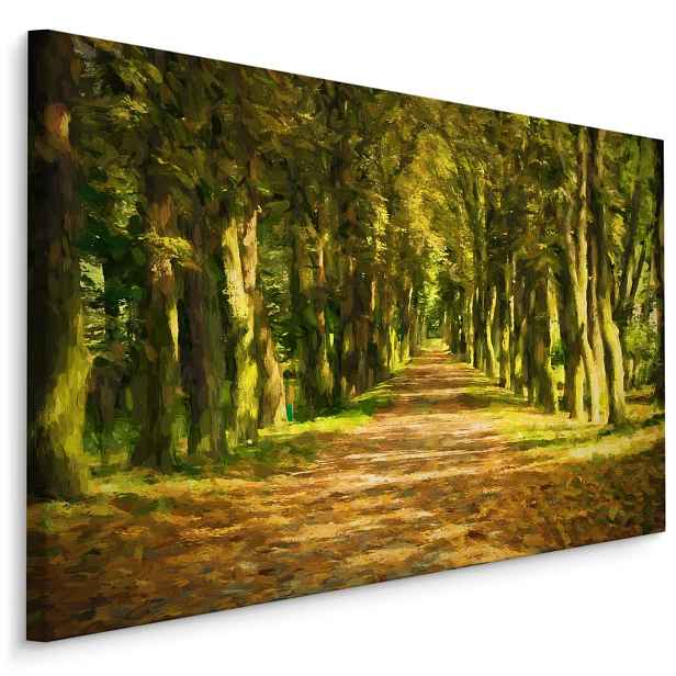 Plátno Cesta Uprostřed Lesa Varianta: 40x30