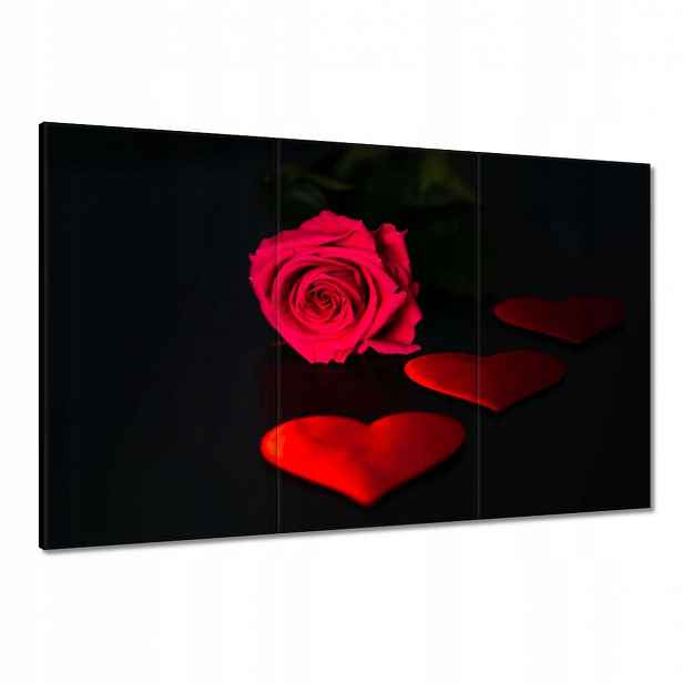 Obrazy 120x80 Květ červené růže