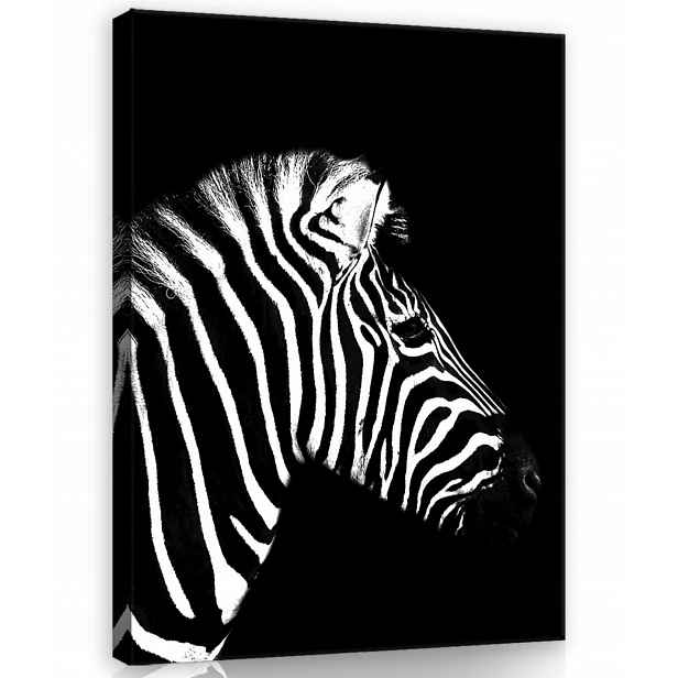 Obraz Na Plátně Canvas 50x70 Zebra Portrét