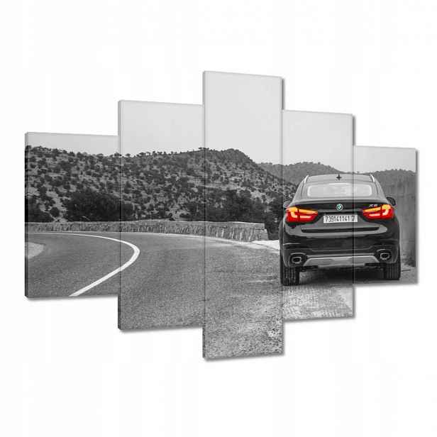 Obrazy 150x105 Bmw černé X6