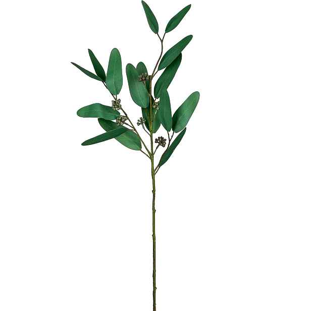 Umělá eukalyptová větvička s plody výška 66 cm Gasper - šedozelená