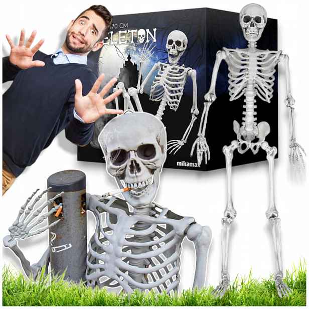 Kostra člověka Realistický model pro výuku anatomie 170 cm Halloween