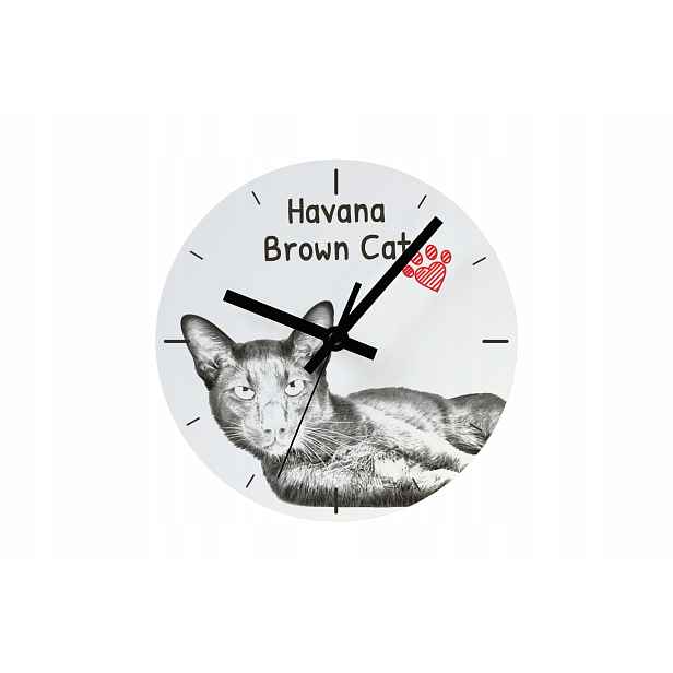 Kočka Havana Bronzové hodiny s kočkou, závěsné a stojící, personalizace fotografií
