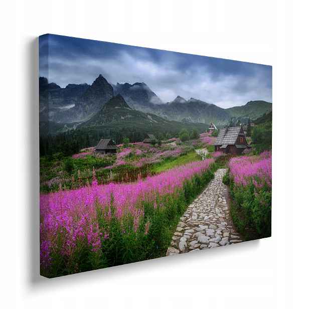 Obraz Hory plátno premium na zeď polena Tatry 70x50 cm