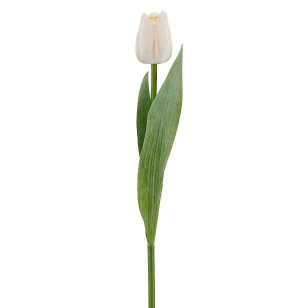 Umělý tulipán výška 35 cm Gasper - bílý