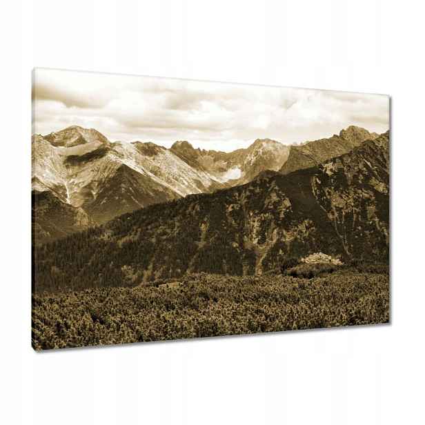 Obrazy 100x70 Tatry Polské hory Pohled