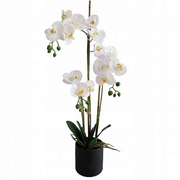 Orchidej Bílá Orchidej Dekorativní Kompozice 80 cm