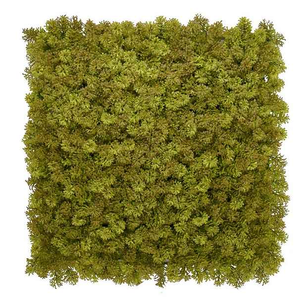Umělý rostlinný panel KATE MOSS 50 x 50 cm - Panel 50x50 Europe Grass