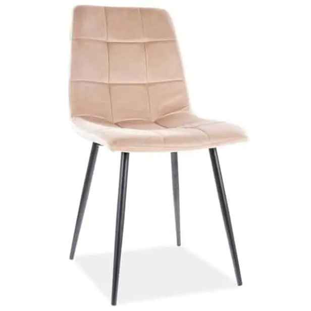 Casarredo Jídelní čalouněná židle MAJA VELVET béžová/černá