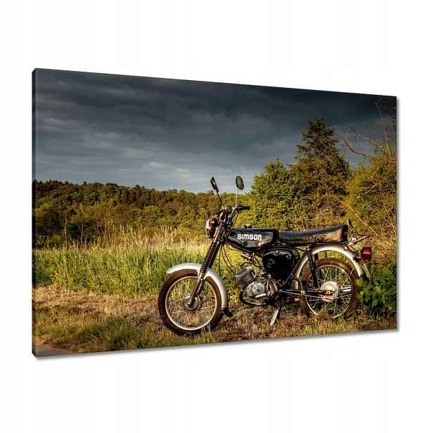 Obrazy 100x70 Černý Simson ve venkovním prostředí