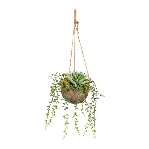 Sukulent v květináči na zavěšení výška 20 cm Gasper - zelený