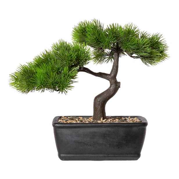 Umělý bonsaj modřín výška 25 cm Gasper - černý