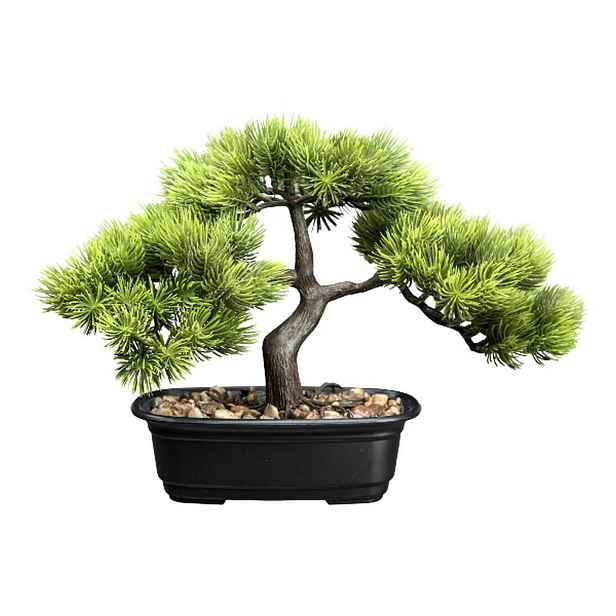 Umělý bonsaj borovice výška 30 cm Gasper - černý