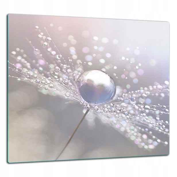 7v1 Skleněná Ochranná Deska Panel Lepidlo 65x60 Květina