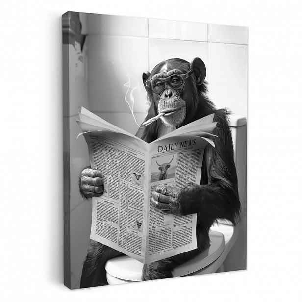 MuchoWow OBRAZ NA PLÁTNĚ Opice - WC - Noviny - Černobílé - Humor 30x40 cm