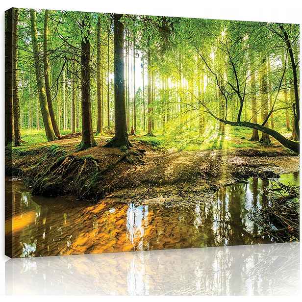Obraz Les Příroda Krajina Pohled Zelená Na Plátně Stěna Velký 100x70