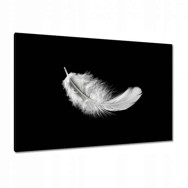 Obrazy 120x80 Nadýchané bílé peříčko