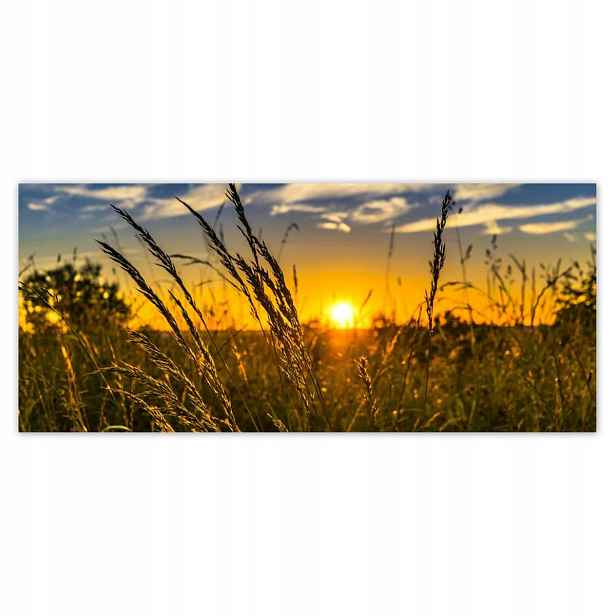 Fototapety 211x91 Západ slunce mezi trávou