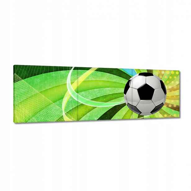 Obrazy 120x40 Fotbal Fotbalová noha