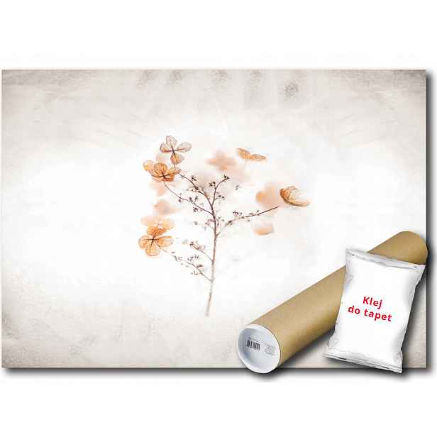 Vinylová fototapeta Květ Rostlina Jetel Sepia Příroda 152x104