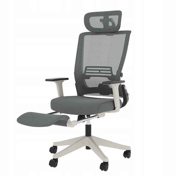 Ergonomická otočná kancelářská židle Flexispot 110 x 53 x 49 Cm šedá