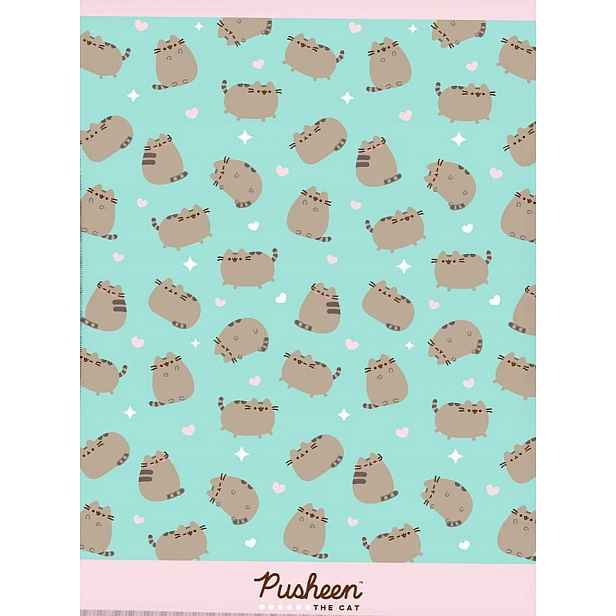 Mátová Velká Deka Pusheen The Cat Originál Licence