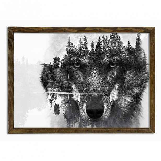 Nástěnný obraz Husky, 70 x 50 cm