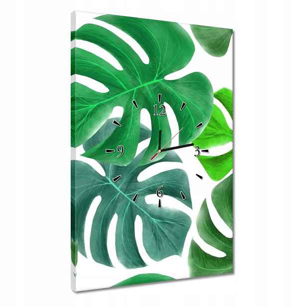 Hodiny 40x60 Listy Monstery Tropiky