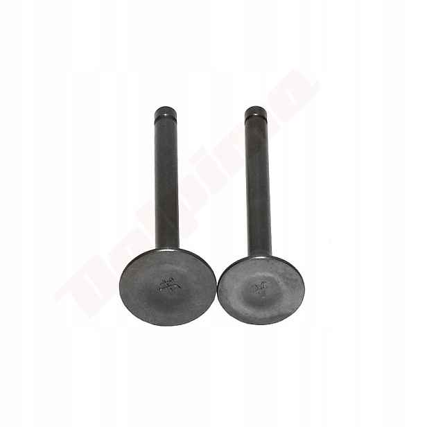 Ventil Robin EX12 268-33401-03 , 268-33501-03