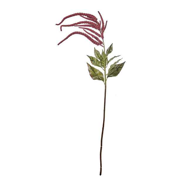 FLORISTA Proso 110 cm - červená