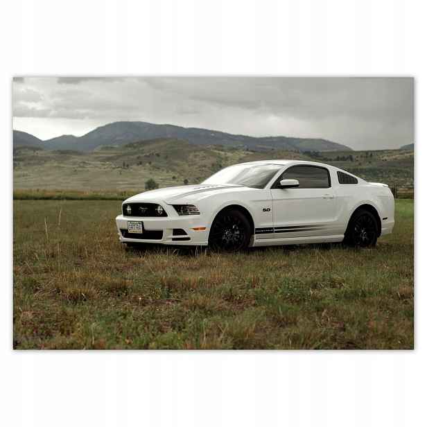 Fototapety flizelina 152x104 Bílá Ford Mustang