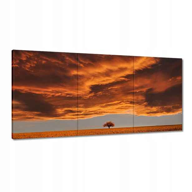 Obrazy 120x60 Oranžové nebe